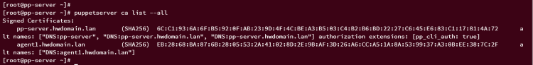在 AlmaLinux 9 上安装 Puppet 服务端并部署其客户端