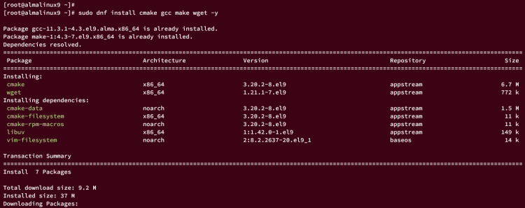 在 AlmaLinux 9 上安装 Rust 与 Cargo 包管理器