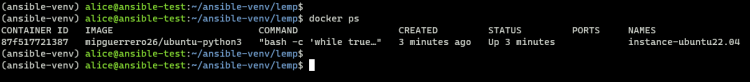 用 Molecule 与 Docker 测试 Ansible 角色