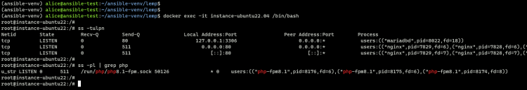 用 Molecule 与 Docker 测试 Ansible 角色