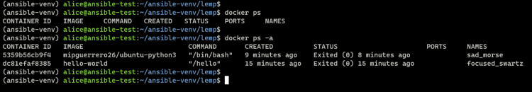 用 Molecule 与 Docker 测试 Ansible 角色