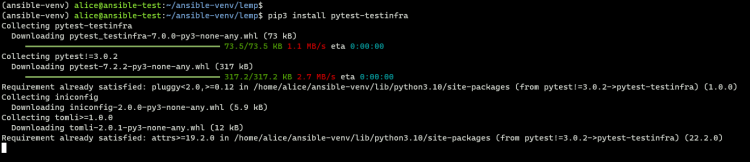 用 Molecule 与 Docker 测试 Ansible 角色
