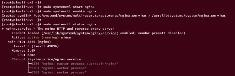 在 AlmaLinux 9 系统上安装部署 Etherpad 协同编辑平台