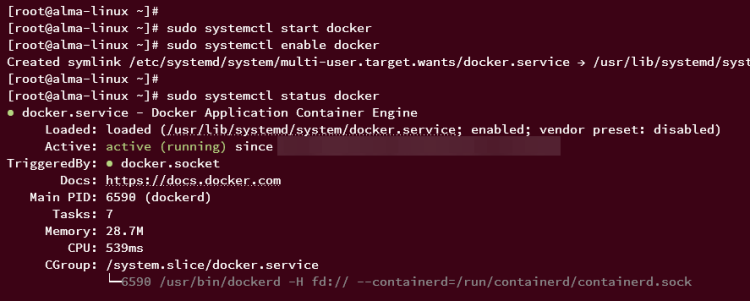 在 AlmaLinux 9 上安装 Docker CE 容器引擎
