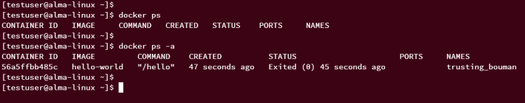 在 AlmaLinux 9 上安装 Docker CE 容器引擎