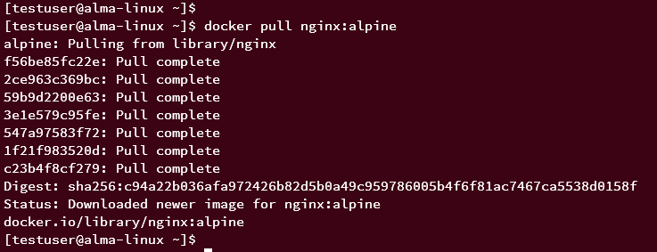 在 AlmaLinux 9 上安装 Docker CE 容器引擎