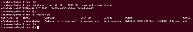 在 AlmaLinux 9 上安装 Docker CE 容器引擎