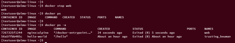 在 AlmaLinux 9 上安装 Docker CE 容器引擎
