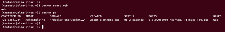 在 AlmaLinux 9 上安装 Docker CE 容器引擎