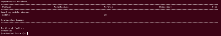 AlmaLinux 9 服务器上安装 Node.js 的三种不同方式教程
