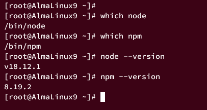 AlmaLinux 9 服务器上安装 Node.js 的三种不同方式教程