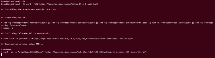 AlmaLinux 9 服务器上安装 Node.js 的三种不同方式教程
