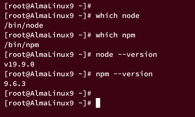 AlmaLinux 9 服务器上安装 Node.js 的三种不同方式教程
