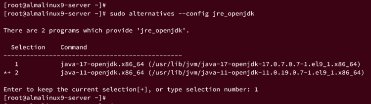 在 AlmaLinux 9 上安装 Java OpenJDK 与 Oracle JDK 并配置环境变量和默认版本