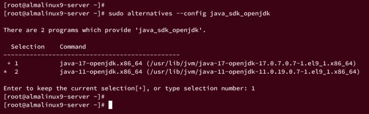 在 AlmaLinux 9 上安装 Java OpenJDK 与 Oracle JDK 并配置环境变量和默认版本