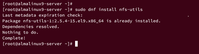 在 AlmaLinux 9 上安装与配置 NFS 服务端及客户端