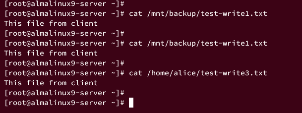 在 AlmaLinux 9 上安装与配置 NFS 服务端及客户端