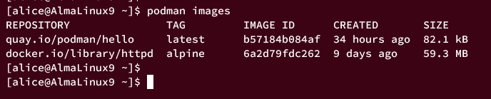 AlmaLinux 9 系统上 Podman 容器安装配置与入门教程