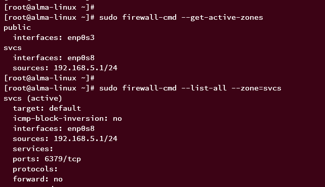 在 AlmaLinux 9 系统上安装并配置 Redis 键值缓存数据库