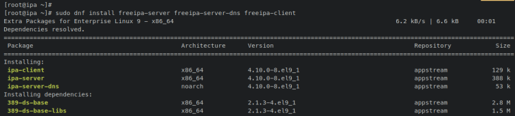 在 Rocky Linux 9 上安装 FreeIPA 身份管理系统