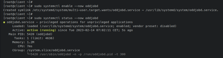 在 Rocky Linux 9 上安装并配置 OpenLDAP 服务端与客户端