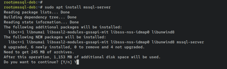 在 Debian 11 上安装并使用 Microsoft SQL Server