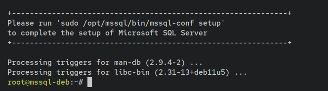 在 Debian 11 上安装并使用 Microsoft SQL Server