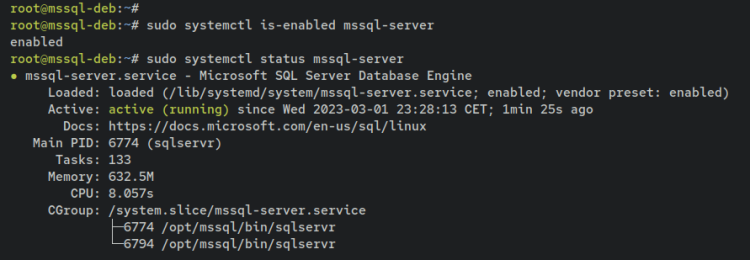 在 Debian 11 上安装并使用 Microsoft SQL Server