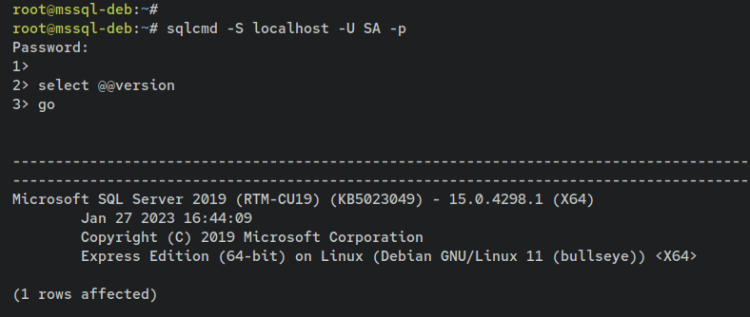 在 Debian 11 上安装并使用 Microsoft SQL Server