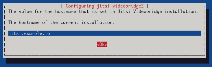 在 Debian 11 系统上安装部署 Jitsi 视频会议平台