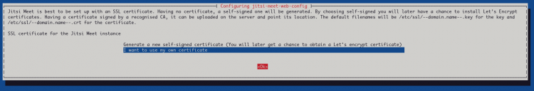 在 Debian 11 系统上安装部署 Jitsi 视频会议平台