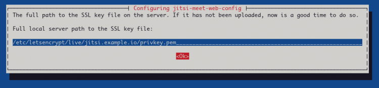 在 Debian 11 系统上安装部署 Jitsi 视频会议平台