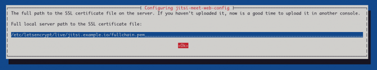 在 Debian 11 系统上安装部署 Jitsi 视频会议平台