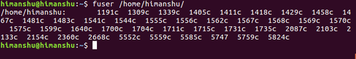 在 Linux 系统中使用 fuser 命令识别占用进程