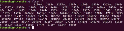 在 Linux 系统中使用 fuser 命令识别占用进程