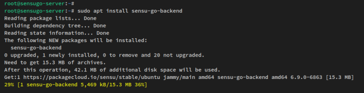 在 Ubuntu 22.04 服务器上安装部署 Sensu 监控系统教程