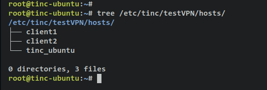 在 Ubuntu 22.04 上用 Tinc 搭建对等虚拟专用网络