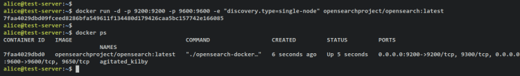 在 Ubuntu 22.04 系统中使用 Docker 部署 OpenSearch 搜索引擎