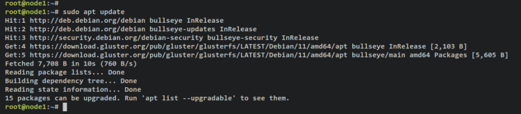 在 Debian 11 上安装配置 GlusterFS 可扩展网络文件系统
