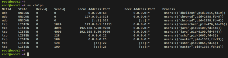 在 Debian 11 上安装 OpenSearch 搜索分析引擎完整教程