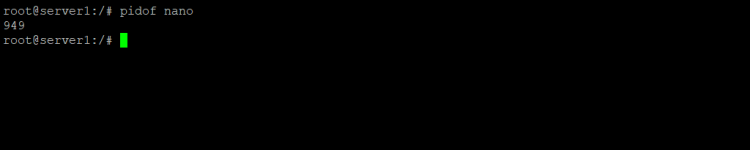 Linux pidof 命令初学者入门教程（五个示例）
