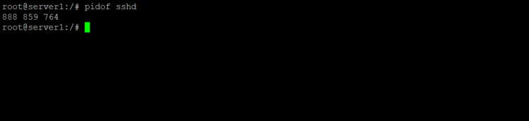 Linux pidof 命令初学者入门教程（五个示例）
