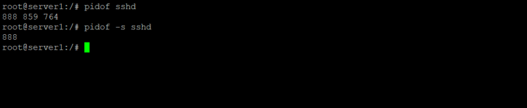 Linux pidof 命令初学者入门教程（五个示例）